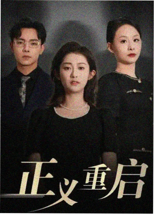 沉默的证词 经典法庭剧集海报
